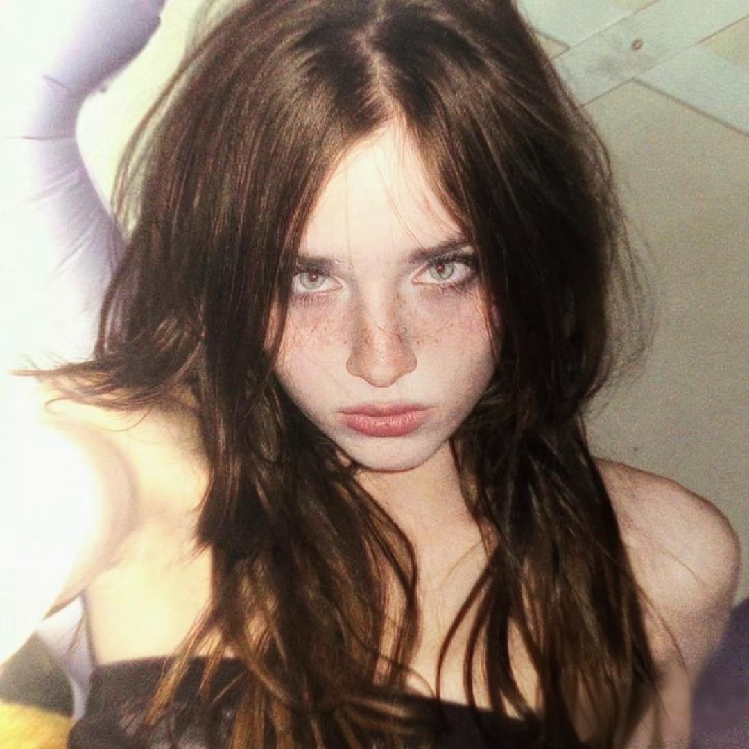 urchin