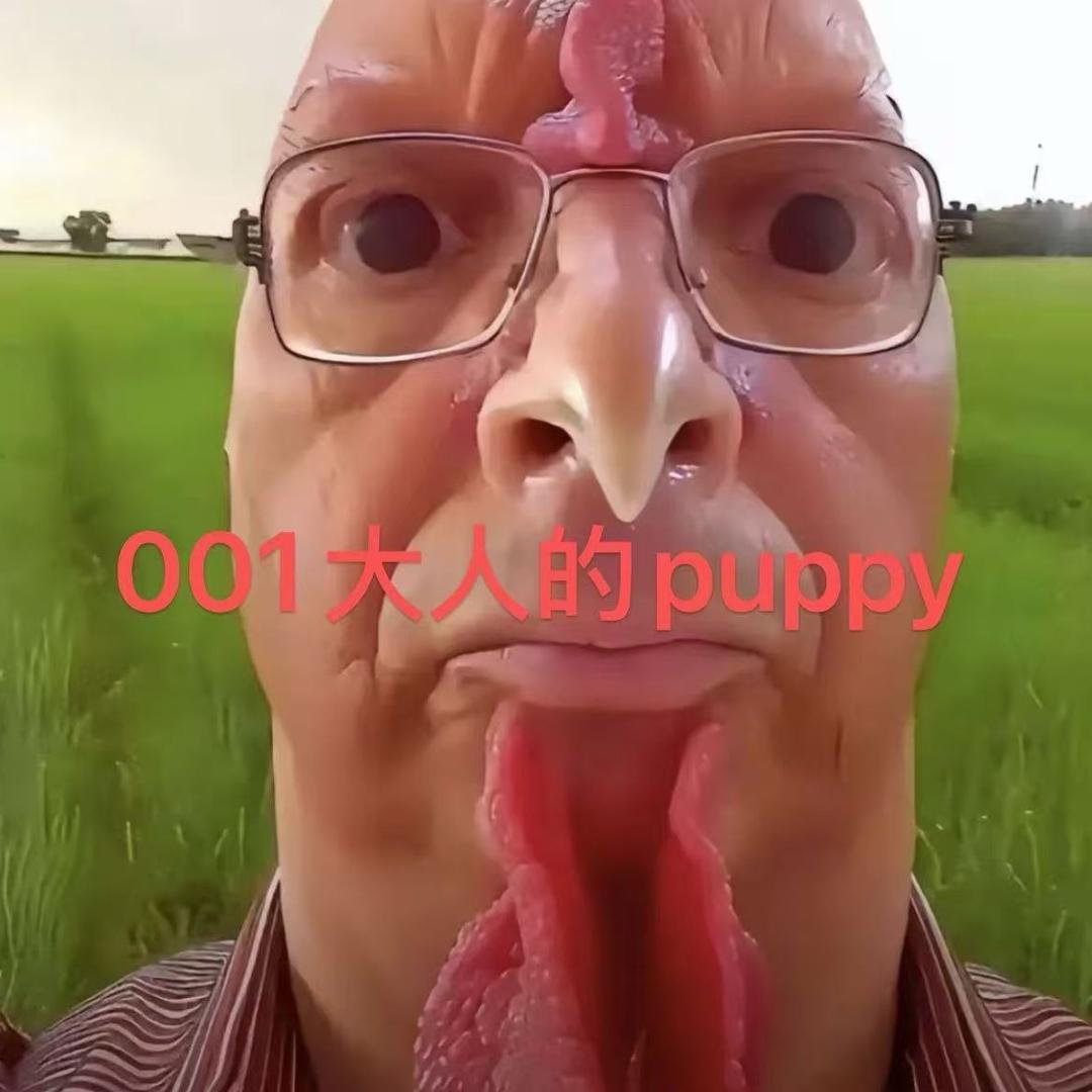 四月（小熊的super puppy）