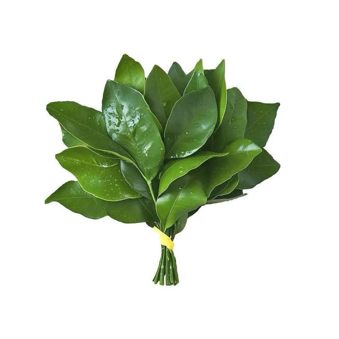 八十万禁军教头