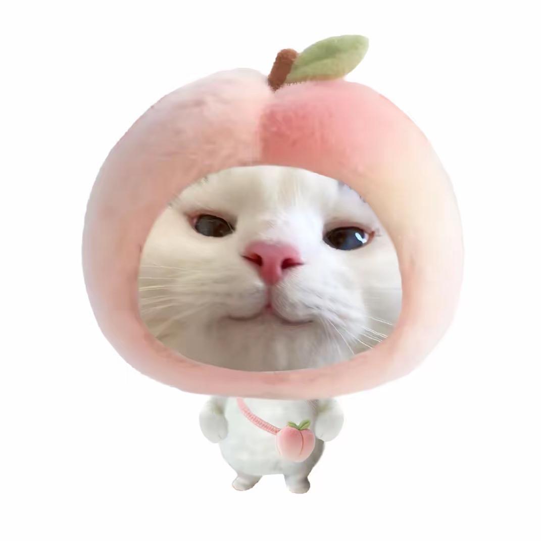 冰糖糯咪藕