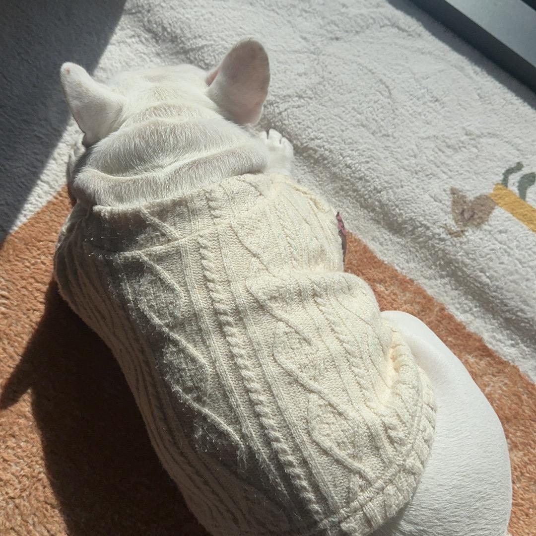 小姜PUBG（娱乐）