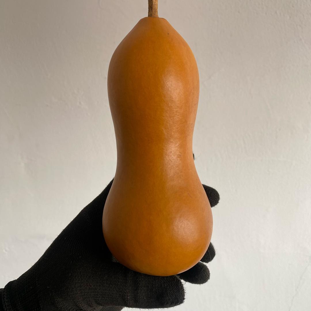 富邦葫芦（随缘）