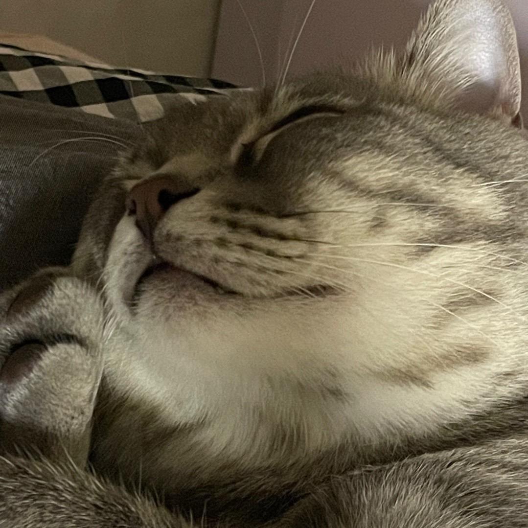 渔桥鸣