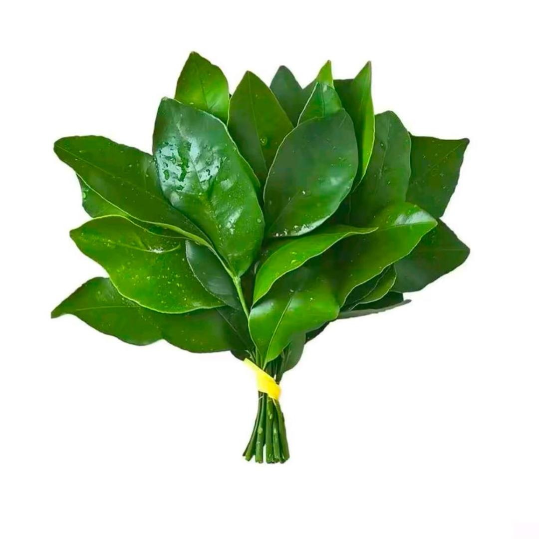 花~~