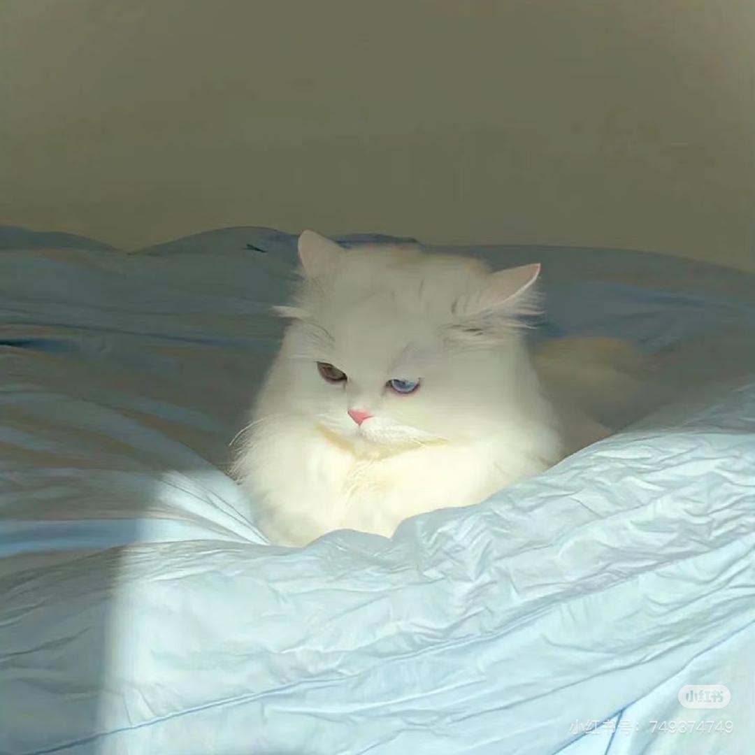 呵呵