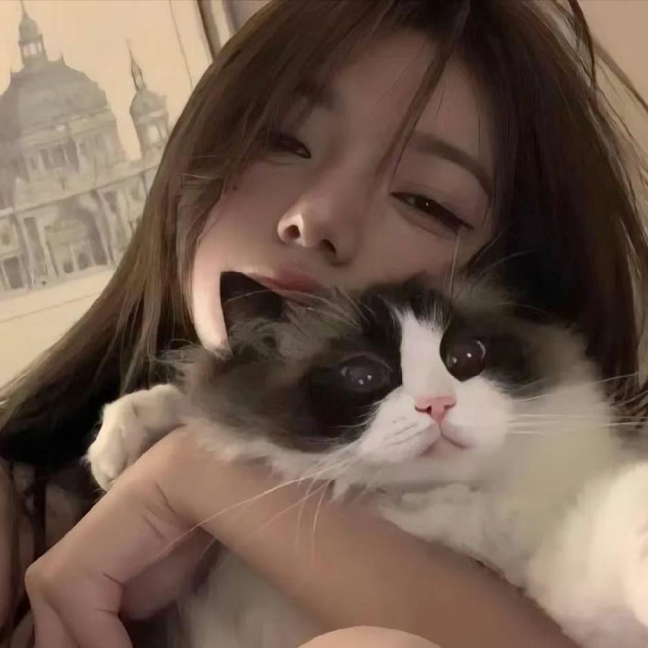 李蛋蛋🧸
