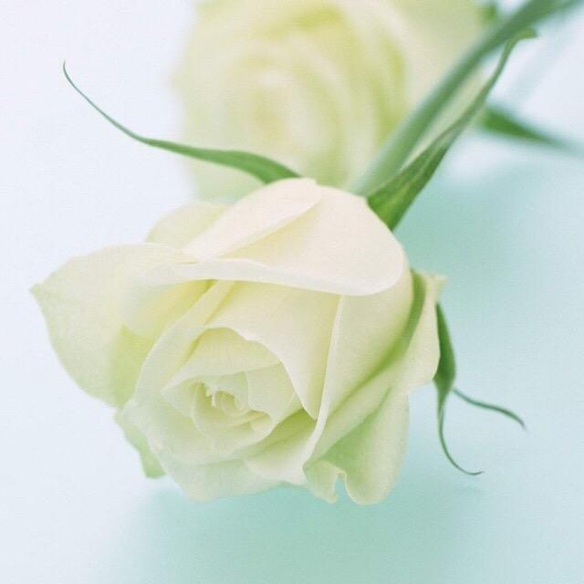 _心