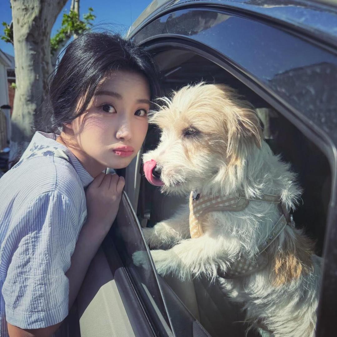 羊村你喜哥