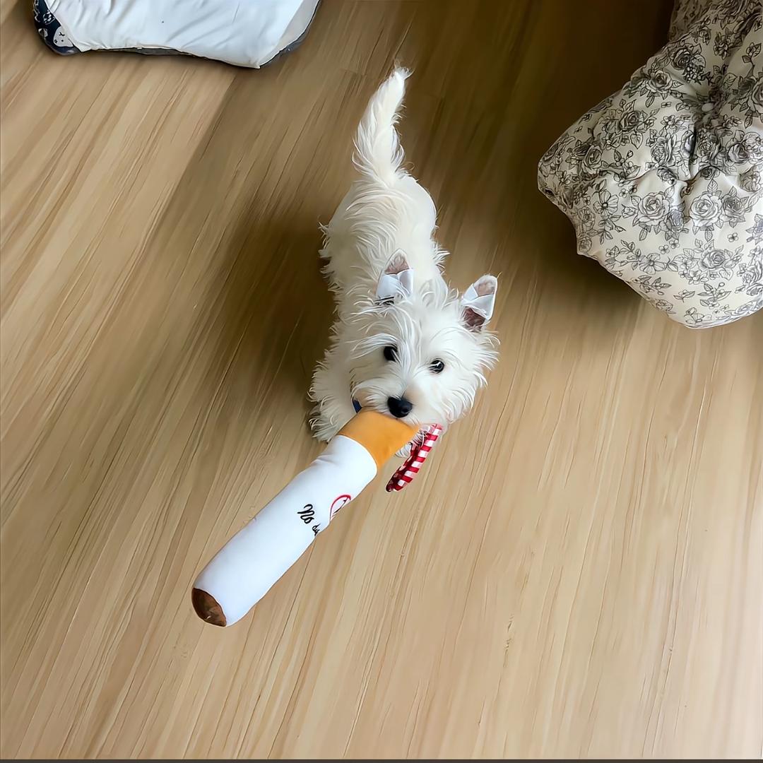 星期三.