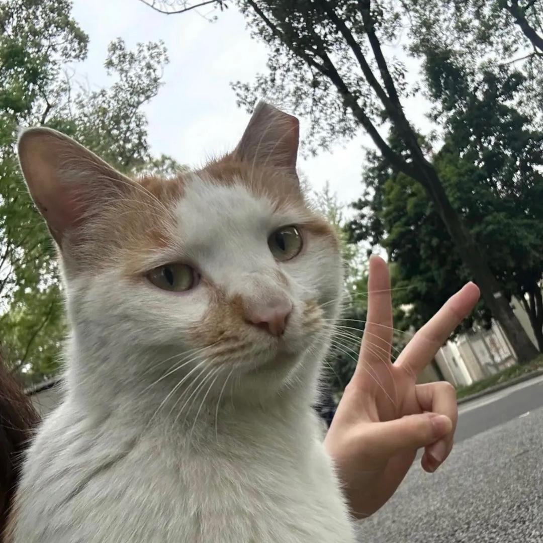经年
