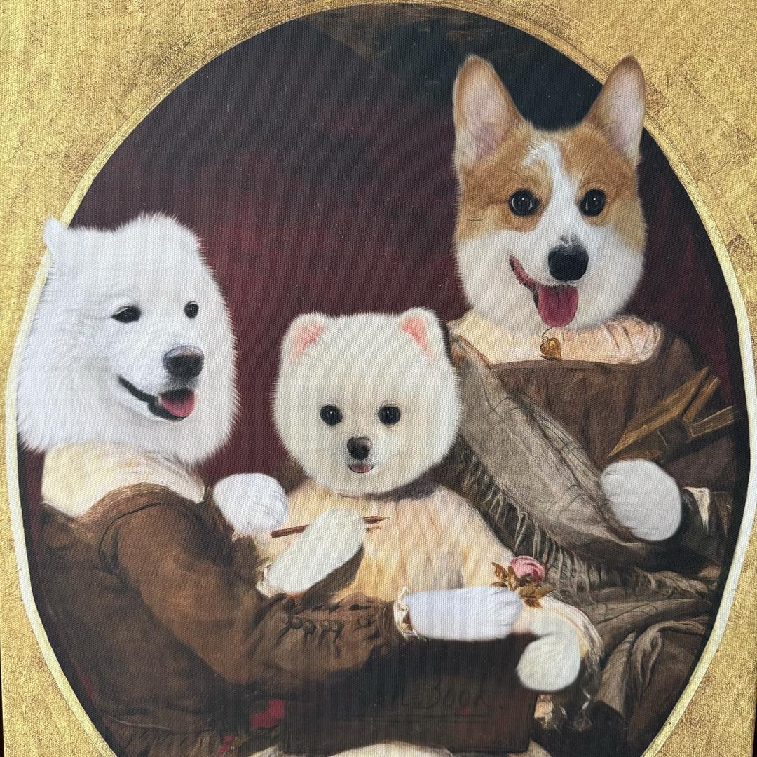 kk的三只🐶