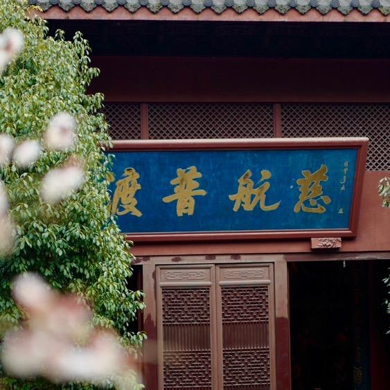 寂寞的季杰