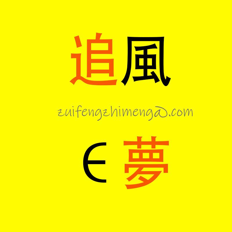 追风之梦