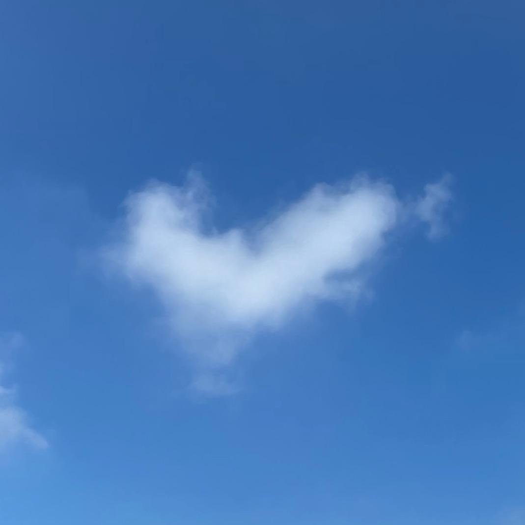 小鱼飞呀飞