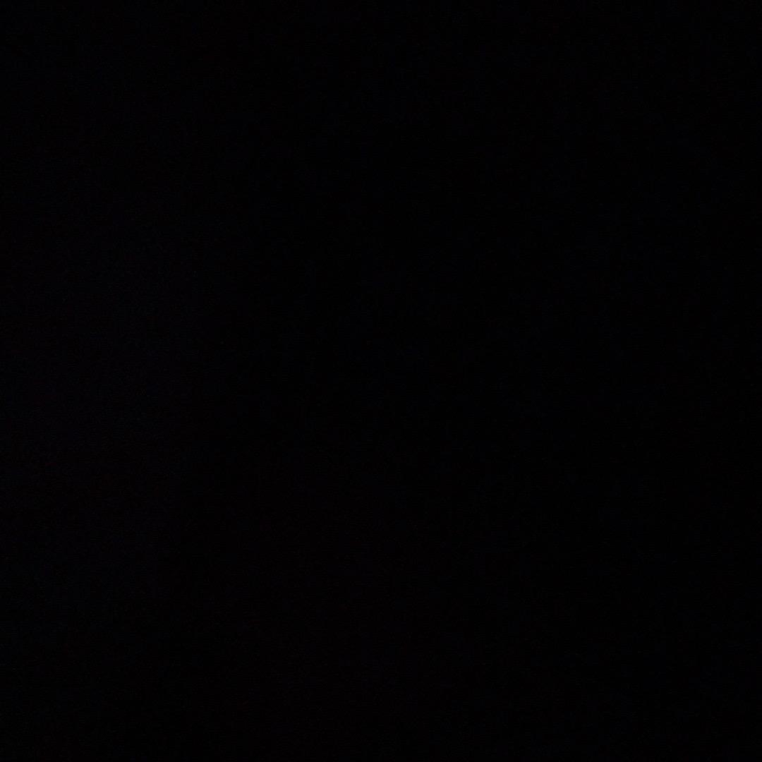 喵小咪孕期（孕晚期）