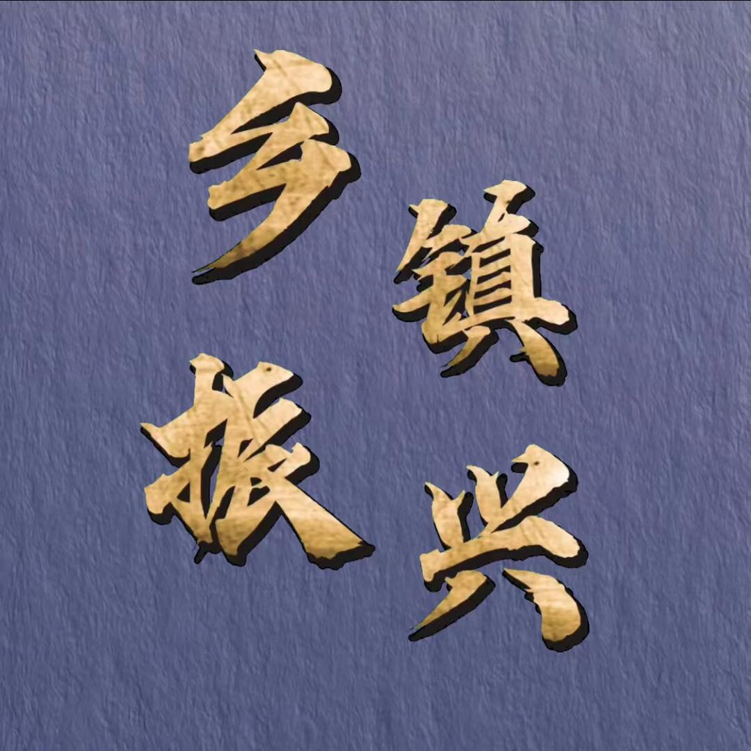 乡镇振兴