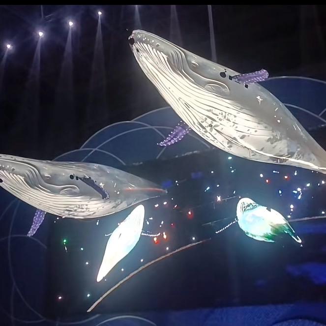 未来视觉仿生艺术飞行