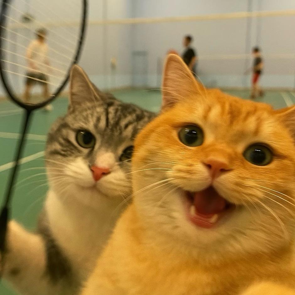 小🐟喵喵