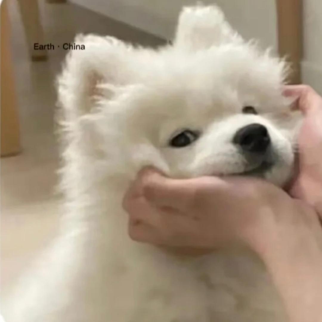 川子.