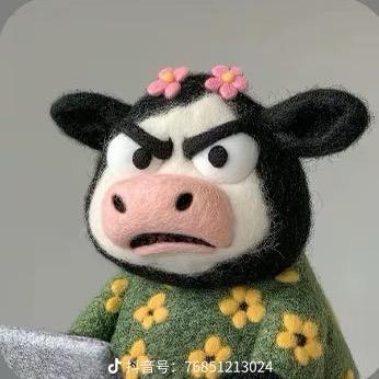 中午吃什么