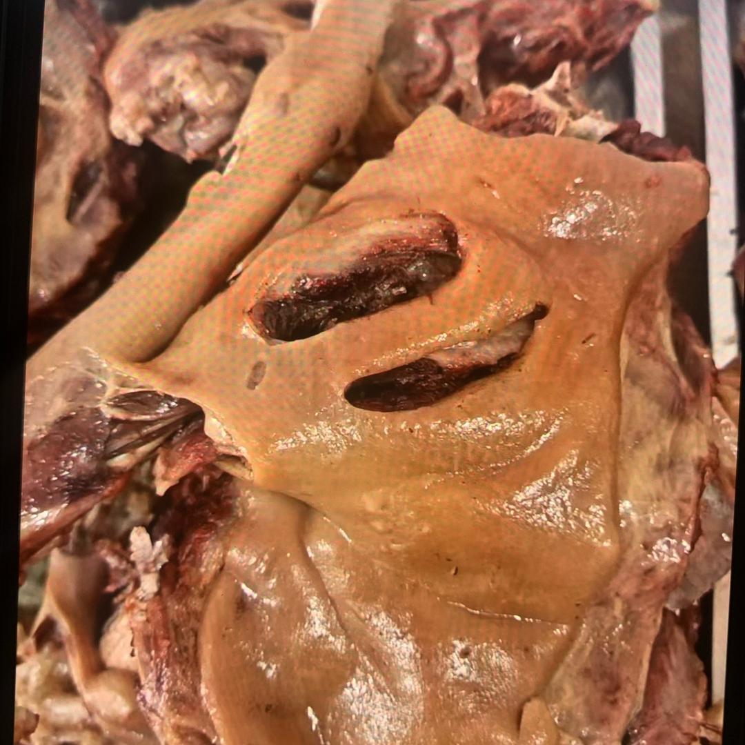 沛县瑞哥香肉3