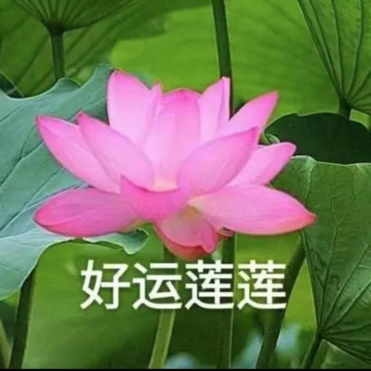 小芯好物