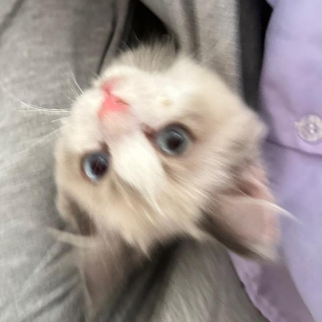 早睡早起挣大钱