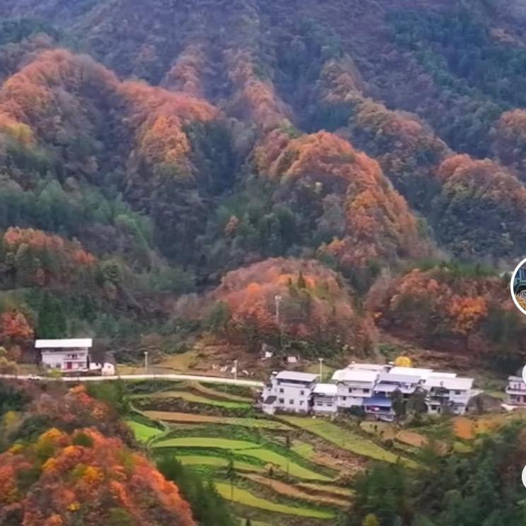 方圆旮地