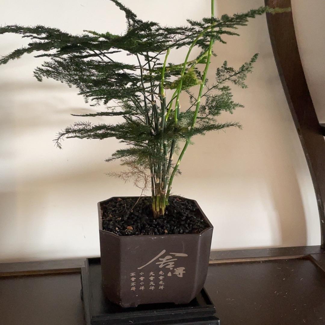 有h