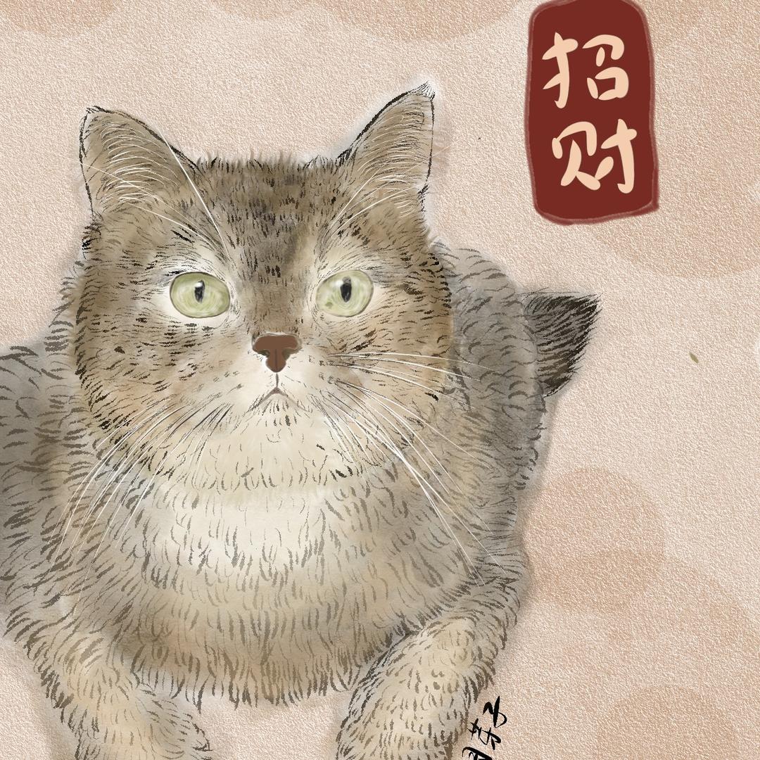 一头招财🐱