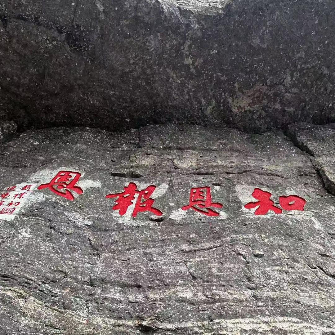 风随影动