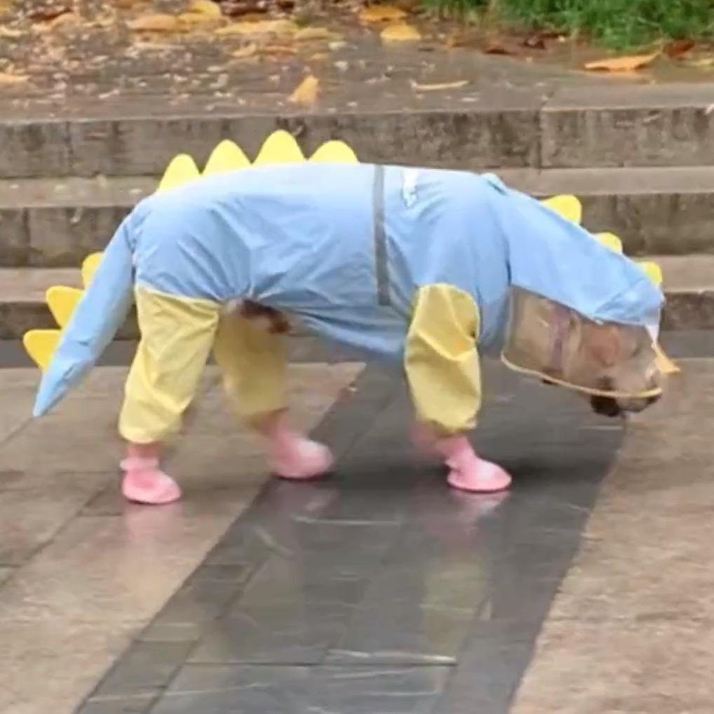 萌萌🍼