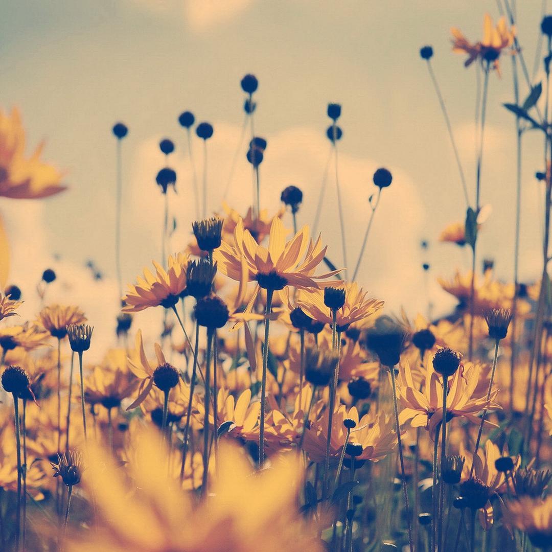 未定义青少年潮流服饰