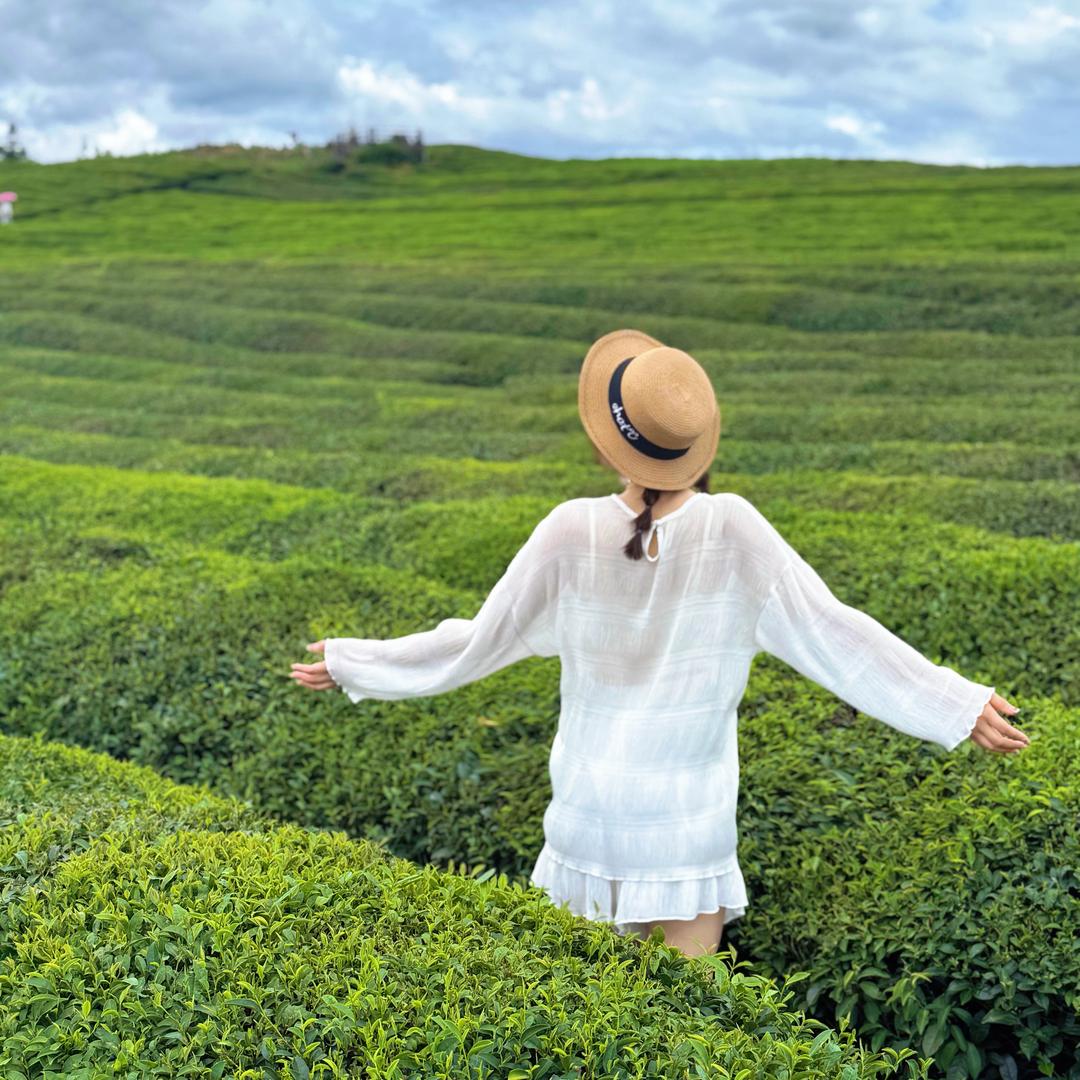 Sᰔᩚngྉˎˊ˗宋