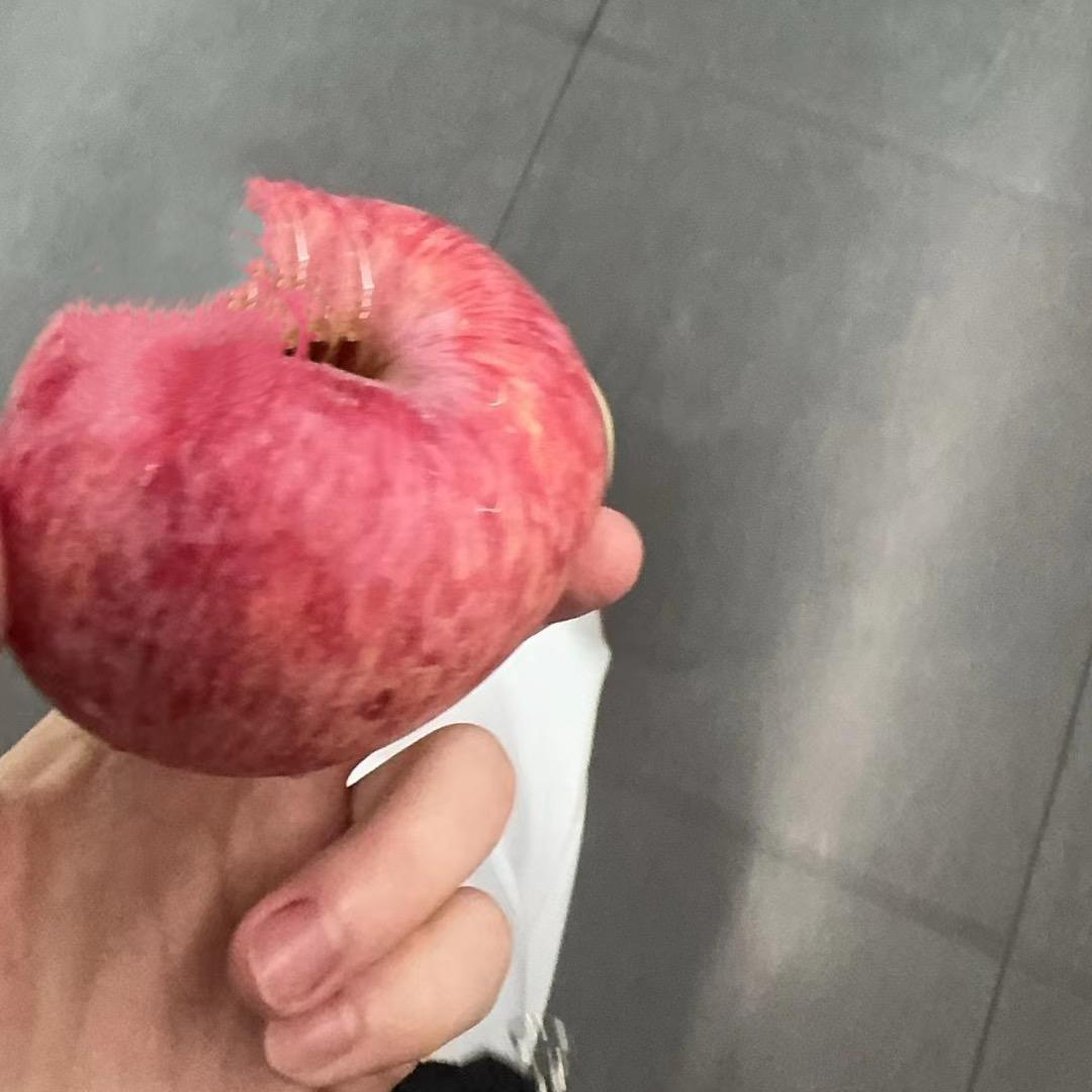 温柔的飞碟瓜