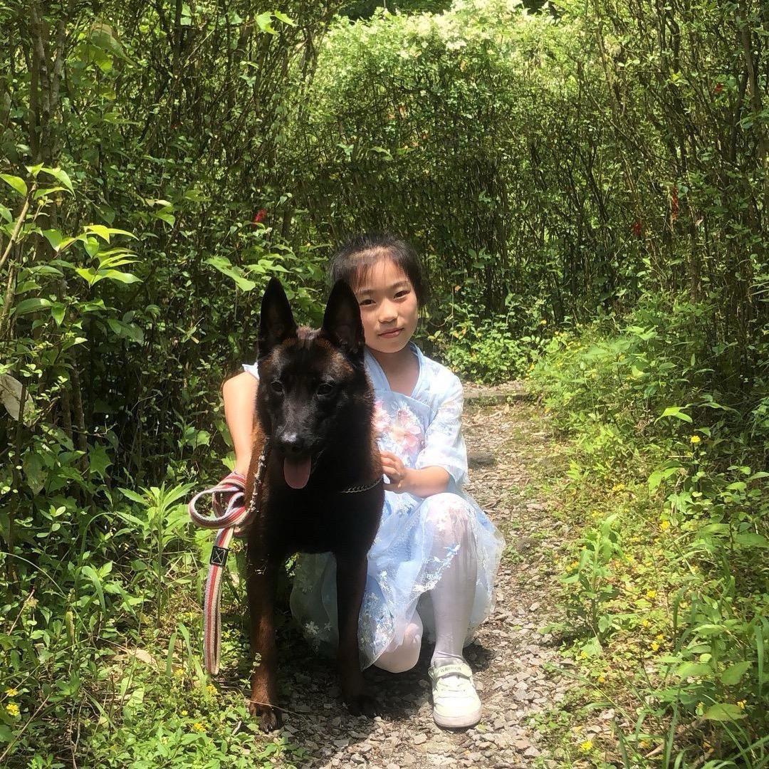 重庆七月（马犬、边牧）爱好者
