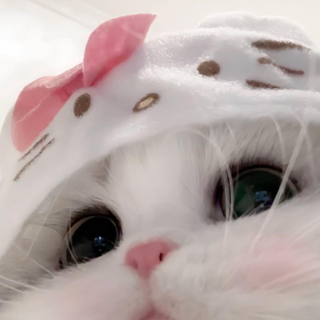 七七baby-🐰