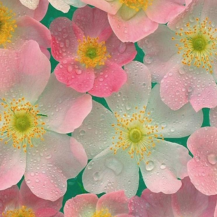 花小果花店