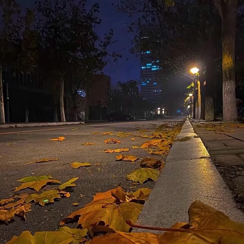 主梦想永远都668