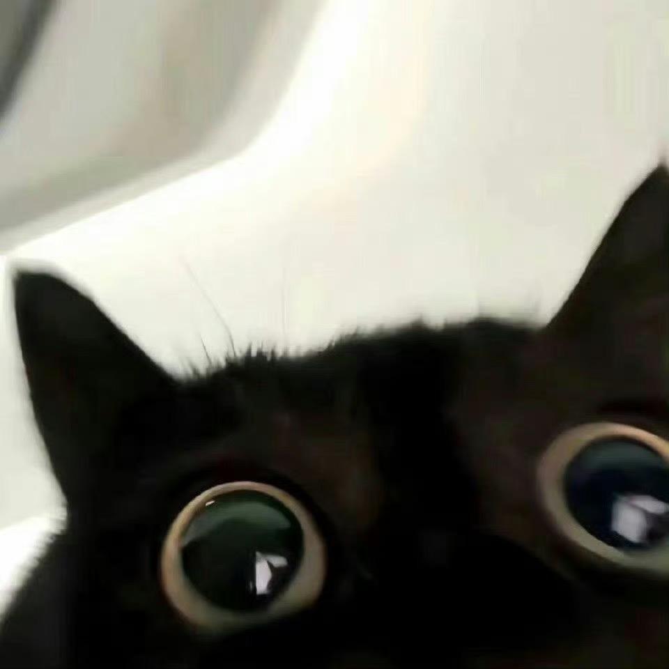 tsuki1