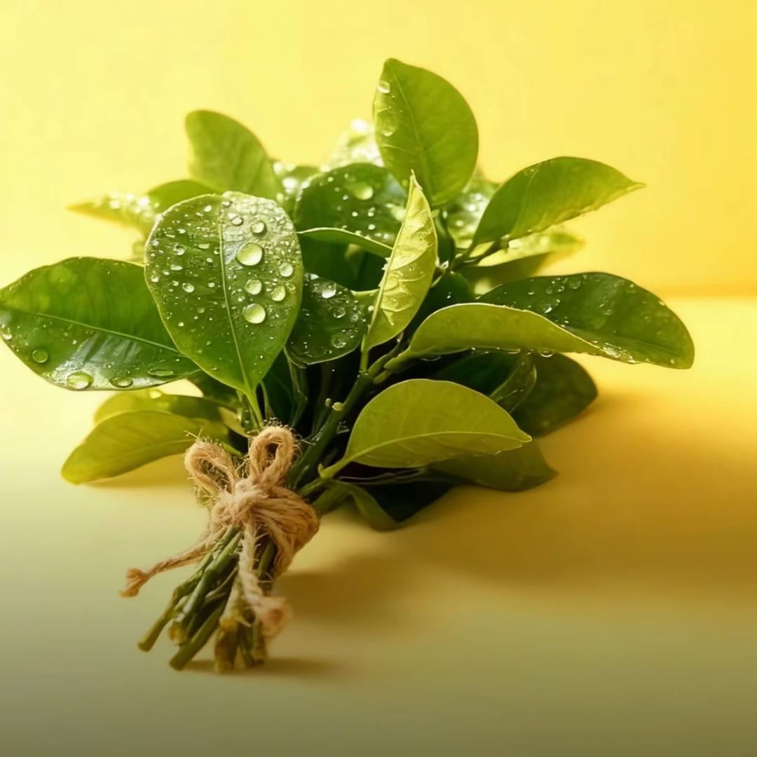 ঞ🍒兜兜🍀有米