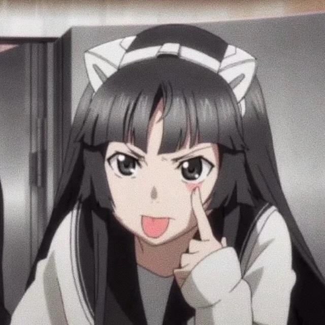 小礼cat