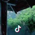 小鱼