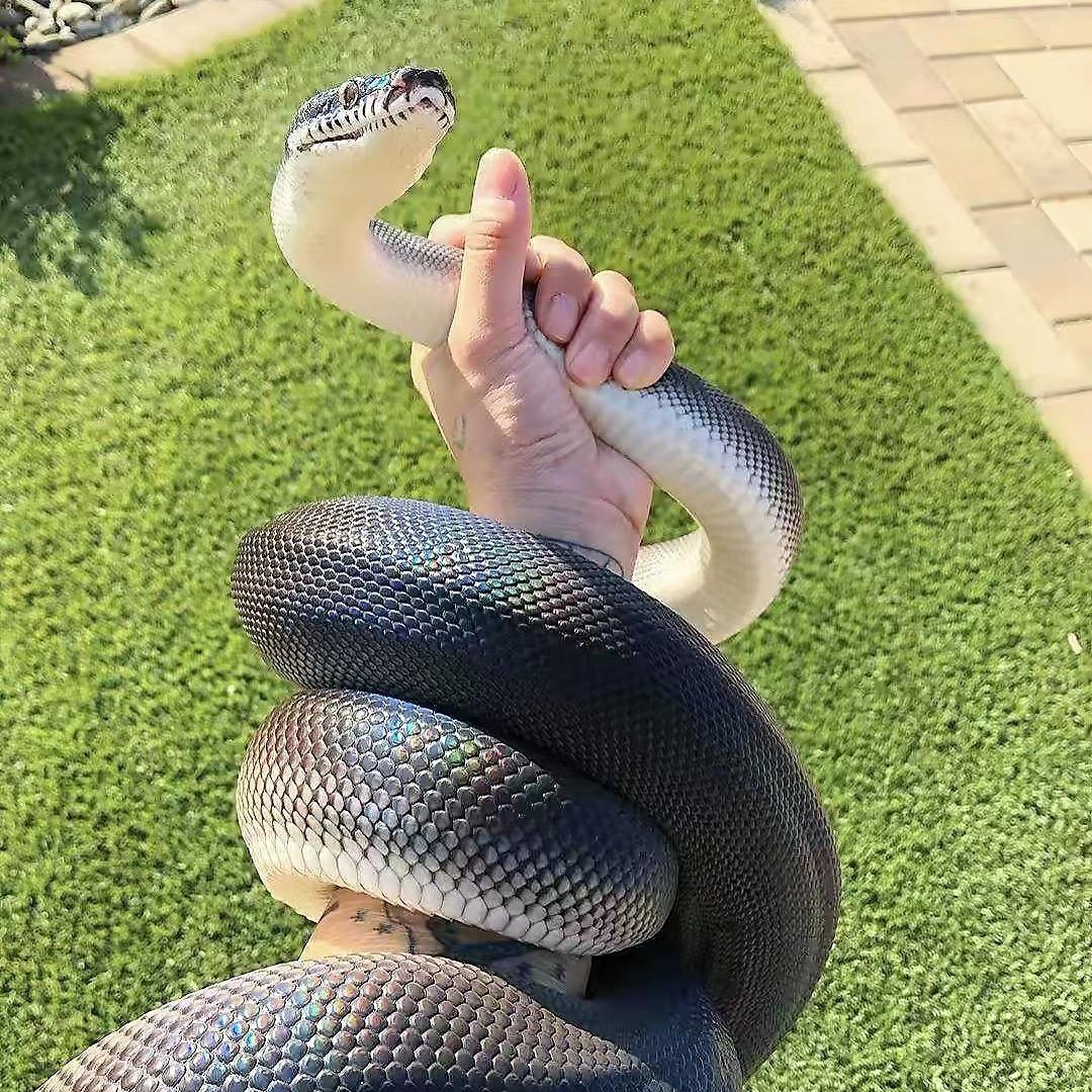 我爱吃北京烤鸭