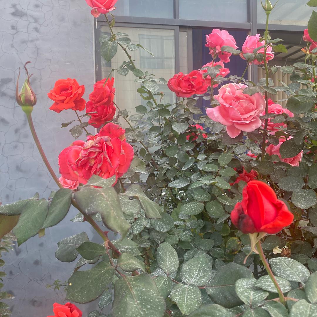 春暖花开，