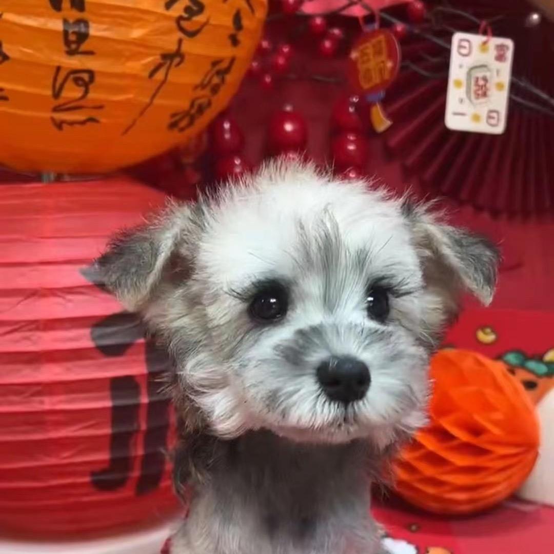 奥利弗