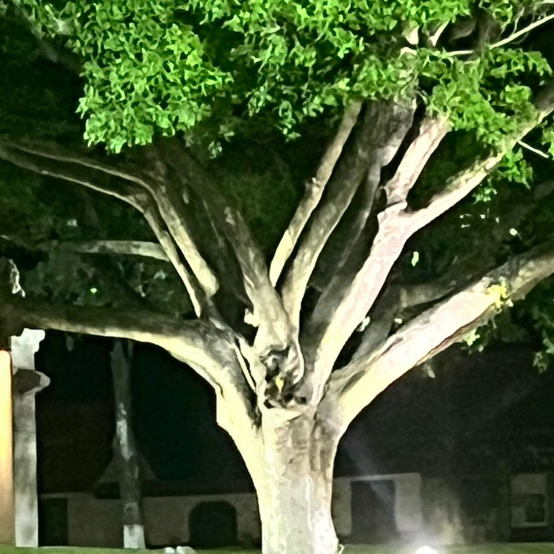 数码电子配件店