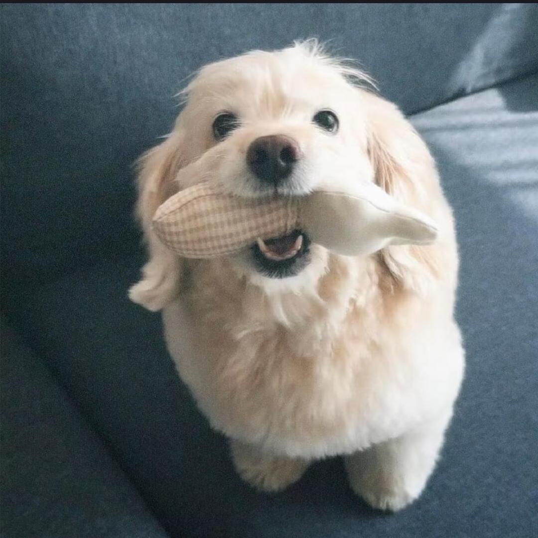 棟