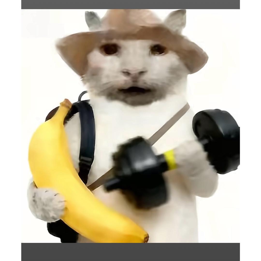 Jerryz