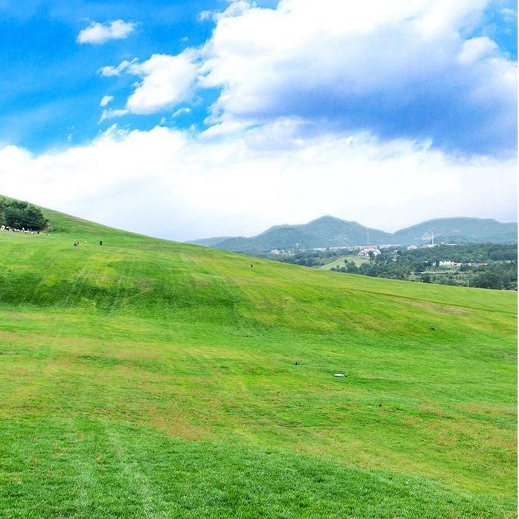 柿🍊柿🍒如🍎意